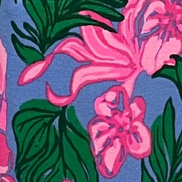 Lilly Pulitzer Skipper Popover EUC. Gorgeous! - Picture 4 of 4